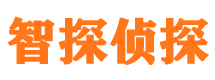 五河外遇调查取证